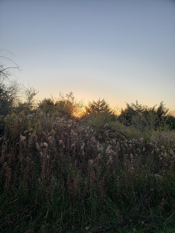 Wind-Powered Wonders: Exploring Carlson Park - Carlson Park