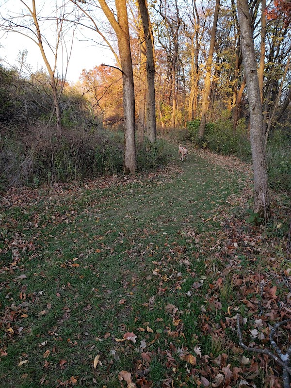 Wind-Powered Wonders: Exploring Carlson Park - Carlson Park