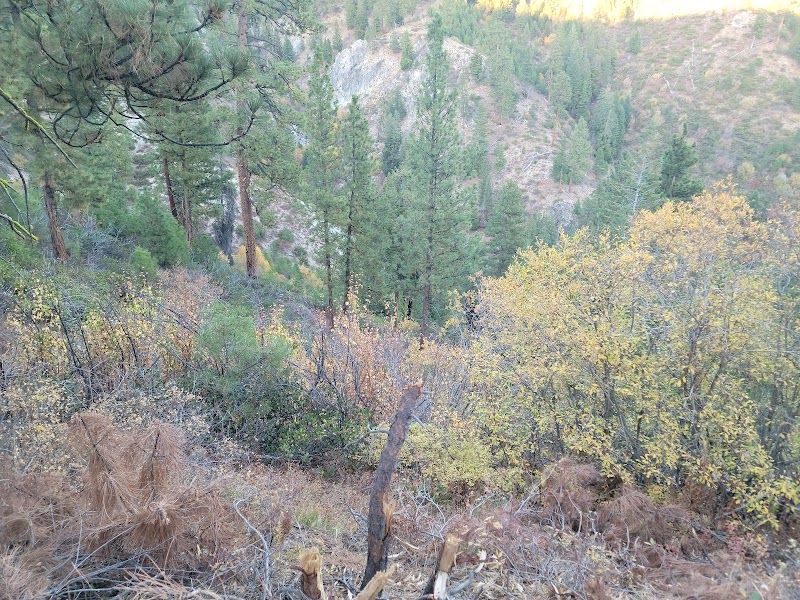 Scenic Serenity at Granite Creek Interpretive Site surrounding landscape