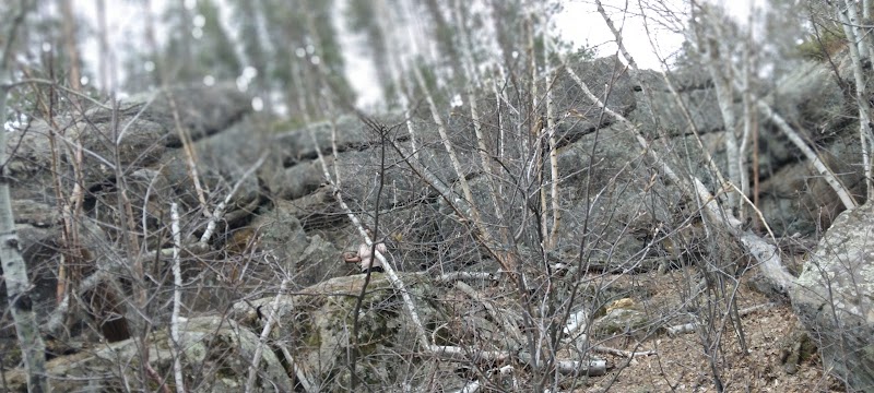 Thumbnail 10