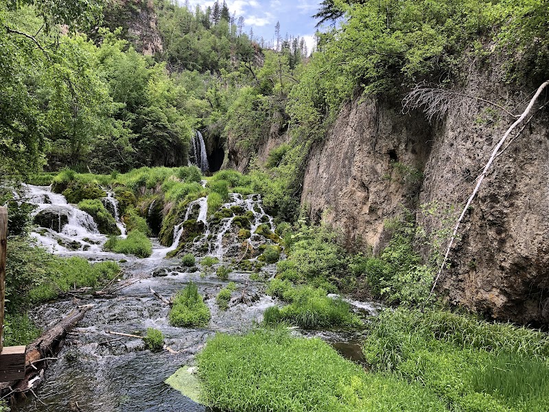 Waterfall Wonders: Roughlock Falls Trail - Roughlock Falls Trail