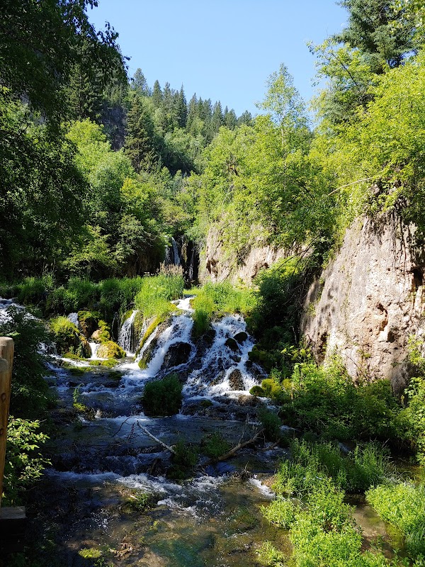 Discover the Natural Beauty of Spearfish Canyon - Spearfish Canyon Nature Area