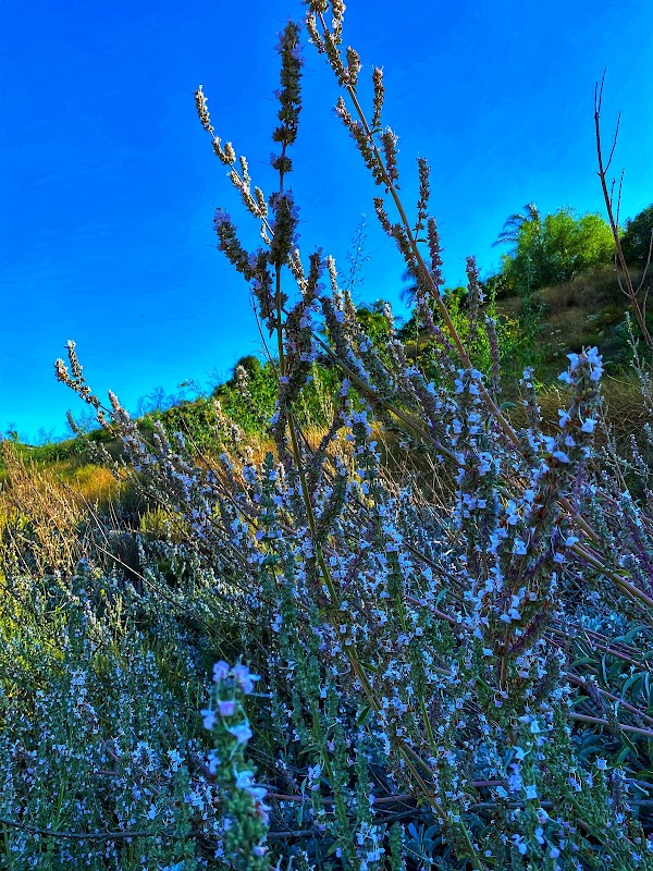 Discover Fresno Canyon Trail surrounding landscape