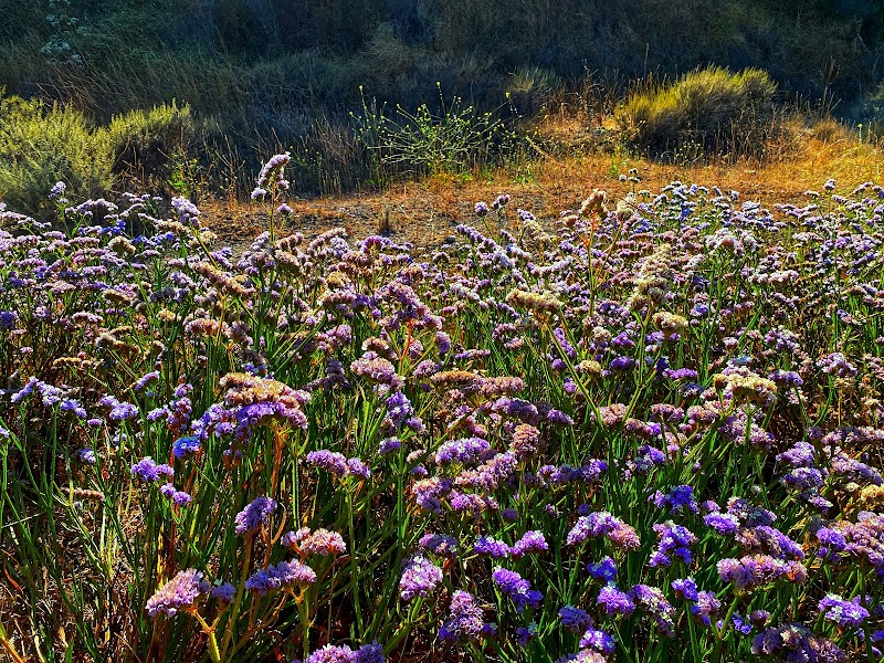 Discover Fresno Canyon Trail outdoor detail