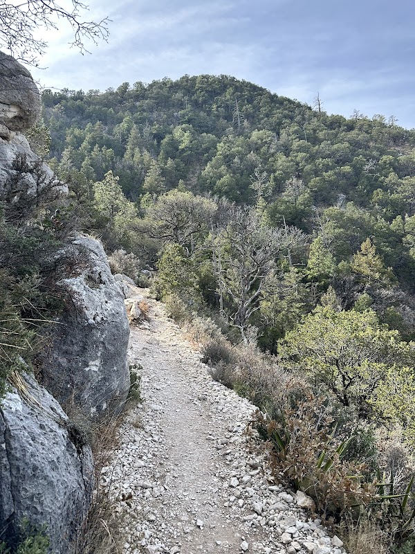 Hiking at Guadalupe Peak: The Lone Star Vista - Guadalupe Peak Trailhead