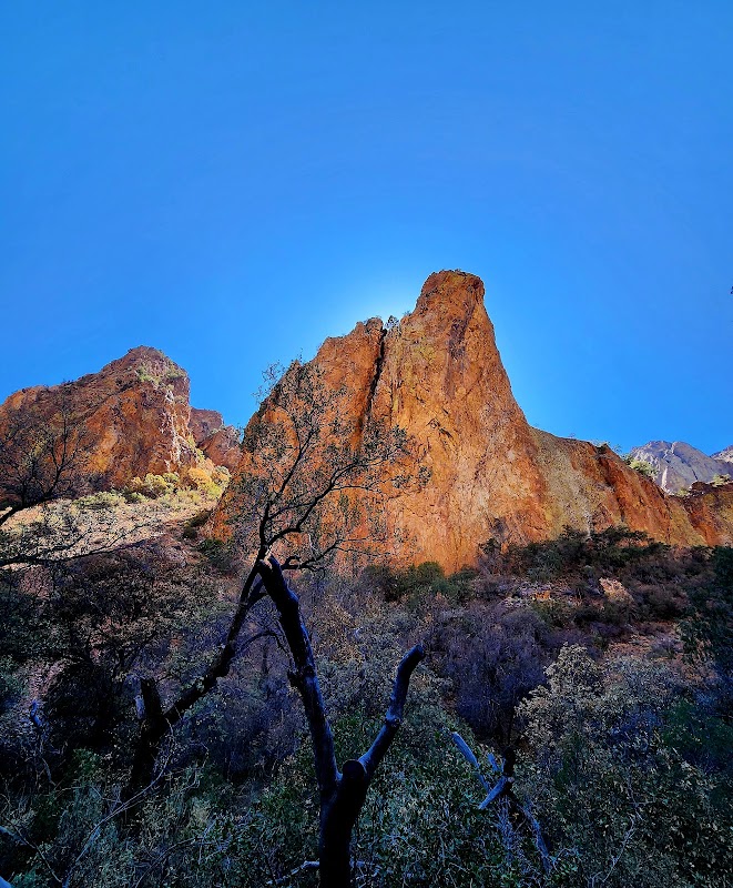 Mountains of Wonder: Chisos Basin Campground - Chisos Basin Campground