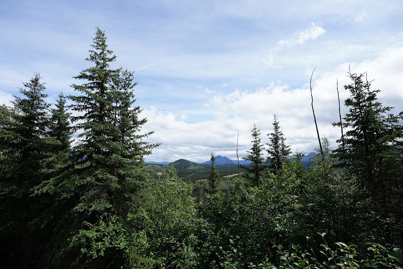 Scenic Trails to Explore at Triple Lakes Trailhead - Triple Lakes Trailhead