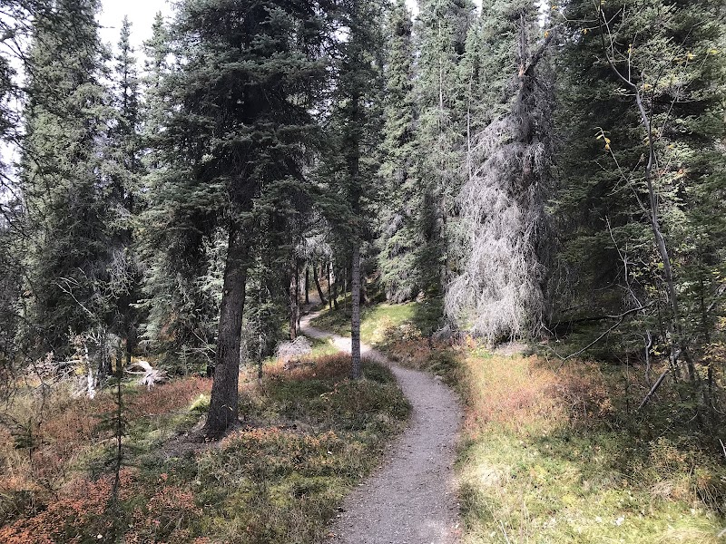 Forest Paths of Rock Creek Trailhead - Rock Creek Trailhead