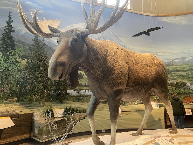Discover Denali: Where Wilderness Meets Wonder - Denali Visitor Center