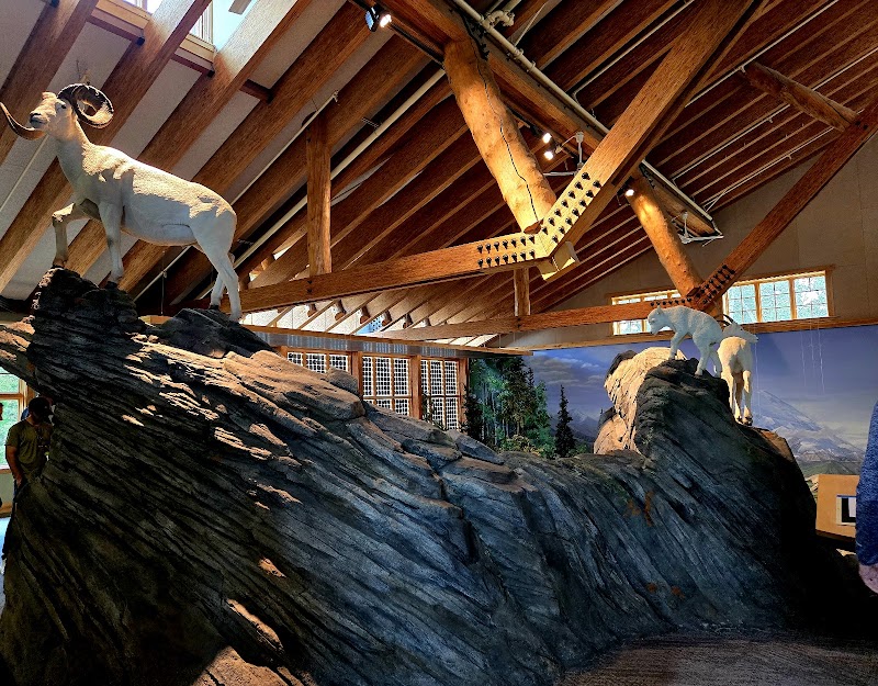Discover Denali: Where Wilderness Meets Wonder - Denali Visitor Center