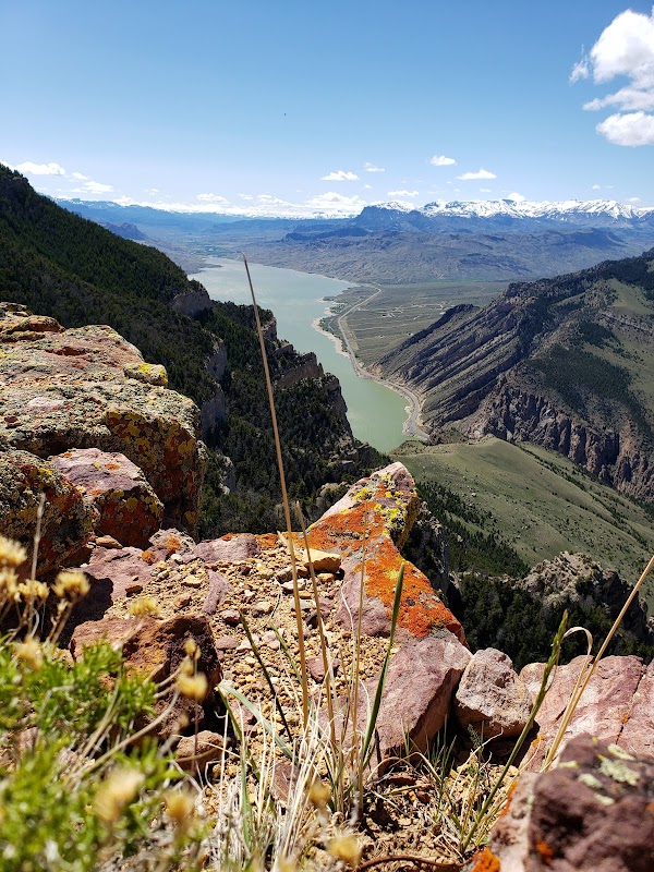 Majestic Beauty: Cedar Peak, Cody, Wyoming outdoor detail
