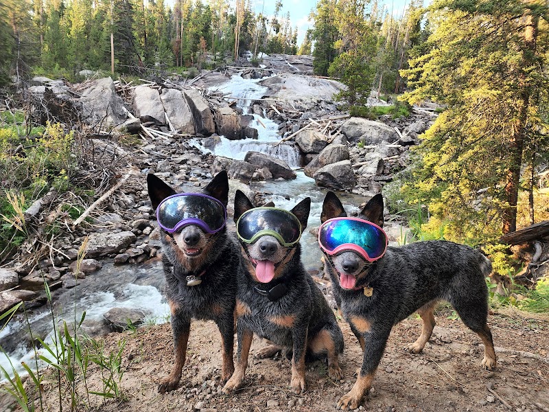 Cascade Adventure at Crazy Creek Falls - Crazy Creek Falls