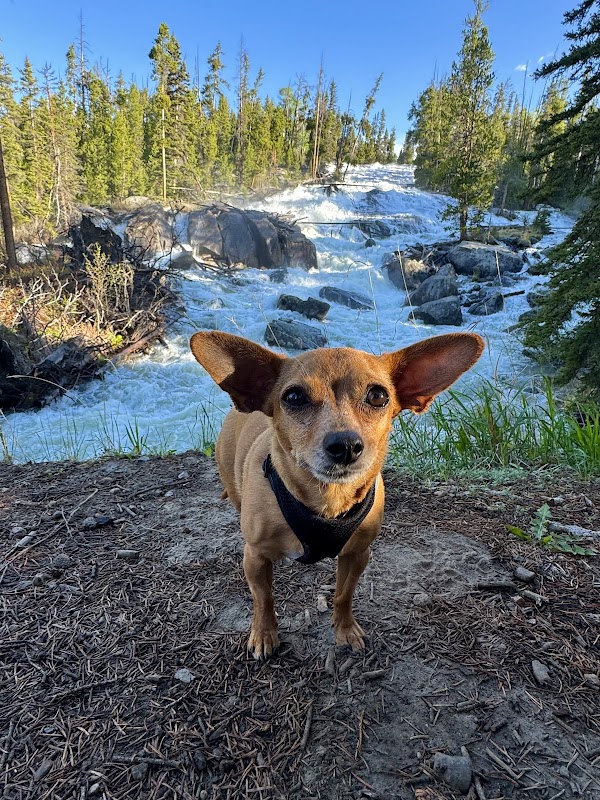 Cascade Adventure at Crazy Creek Falls surrounding landscape