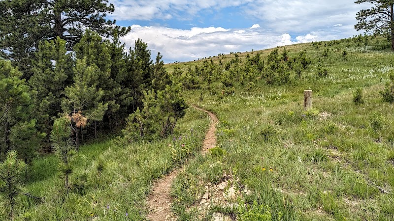 Discover Lookout Point Trail's Natural Beauty - Lookout Point Trail