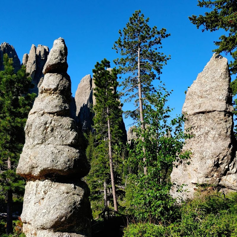 Cathedral Spires: Nature's Sculptures in Custer - Cathedral Spires Viewing Spot