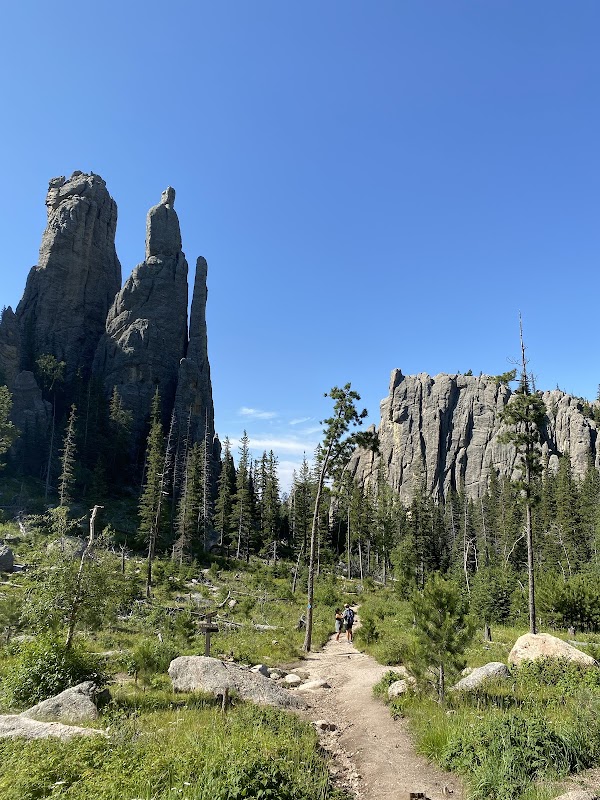 Cathedral Spires: Nature's Sculptures in Custer - Cathedral Spires Viewing Spot