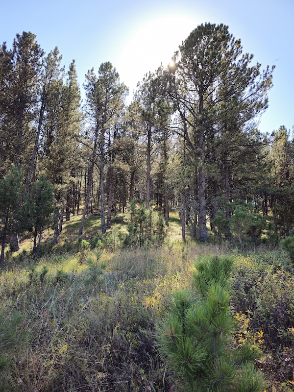 Sanctuary Trail: A Serene Escape - Sanctuary Trail