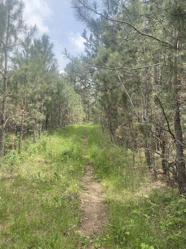 Sanctuary Trail: A Serene Escape - Sanctuary Trail