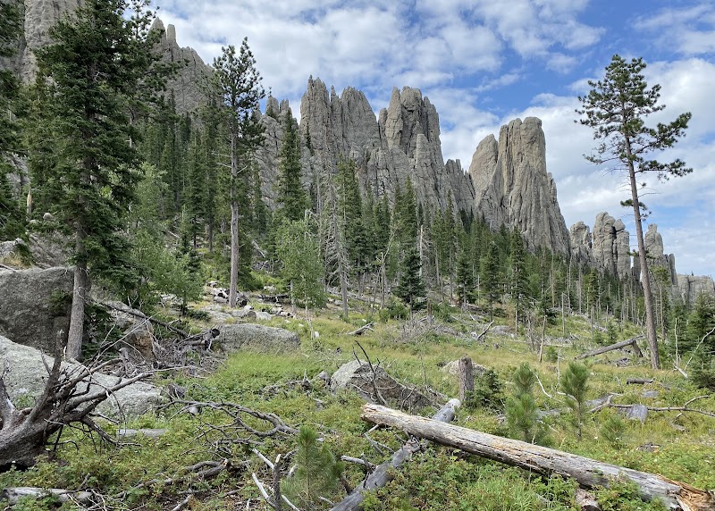 Majestic Spires of the Black Hills - Trail End