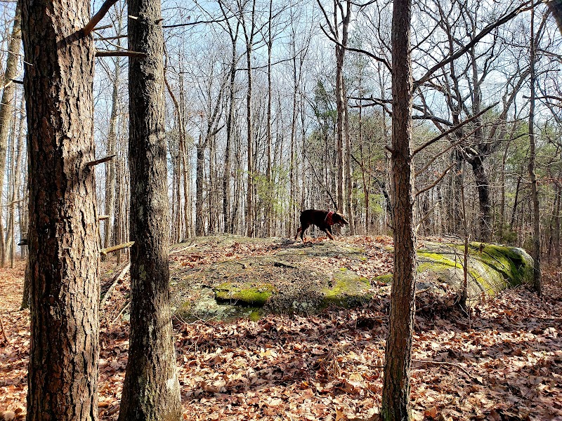 Rock Formations & Trails: Rocktown Trailhead, LaFayette outdoor detail