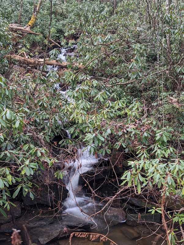 Nature's Cascade at Long Branch Falls surrounding landscape