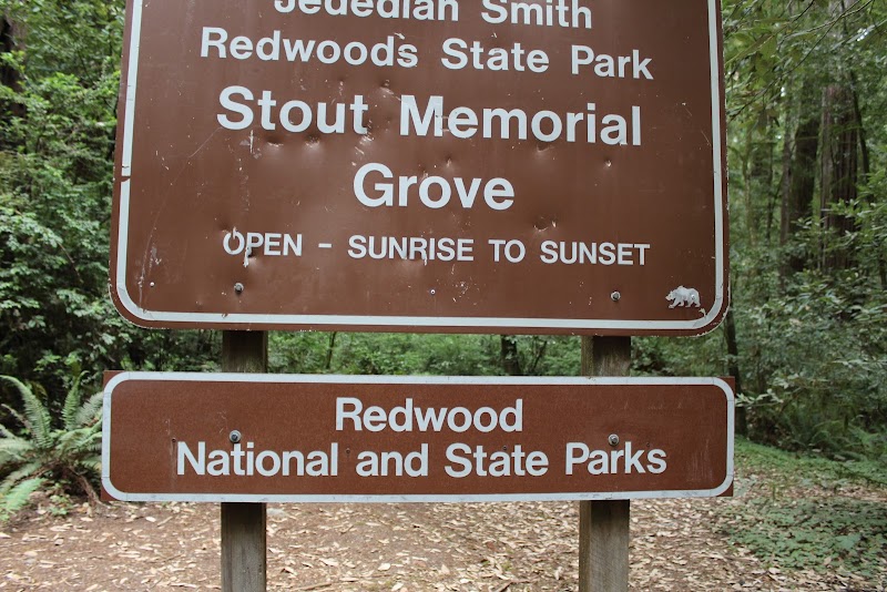 Majestic Forest Walk at Stout Grove outdoor detail