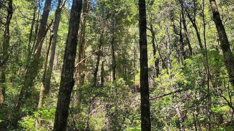 Serenity on the Trails of Craigs Creek outdoor detail