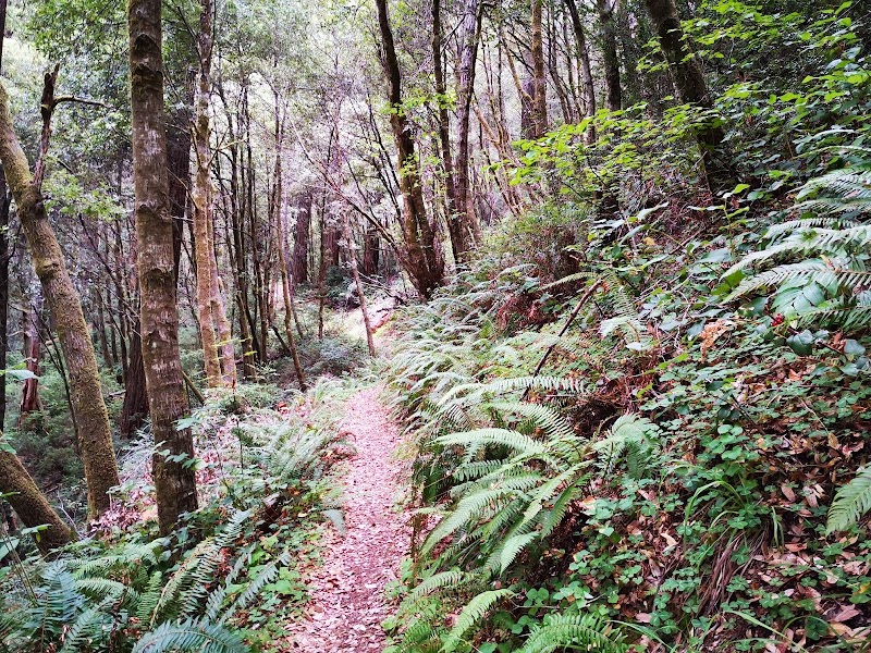 Serenity on the Trails of Craigs Creek - Craigs Creek Trailhead