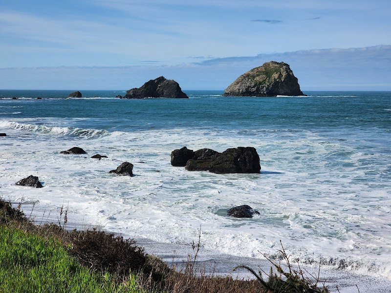 Majestic Forests: Del Norte Coast Redwoods State Park - Del Norte Coast Redwoods State Park