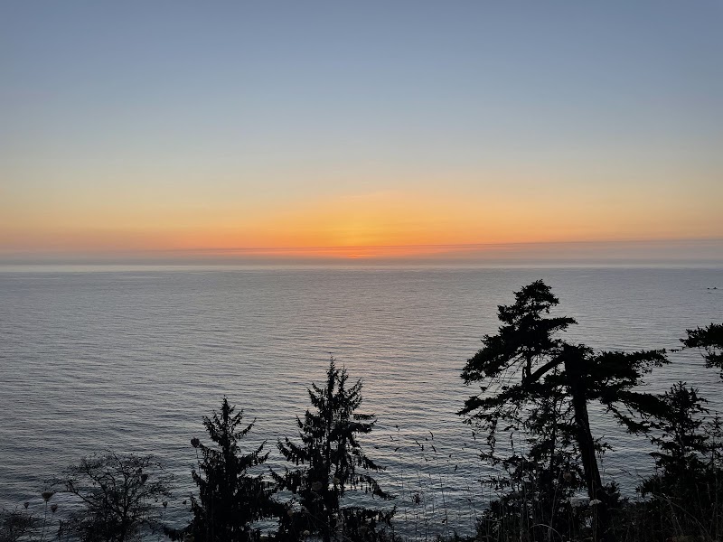 Majestic Forests: Del Norte Coast Redwoods State Park surrounding landscape