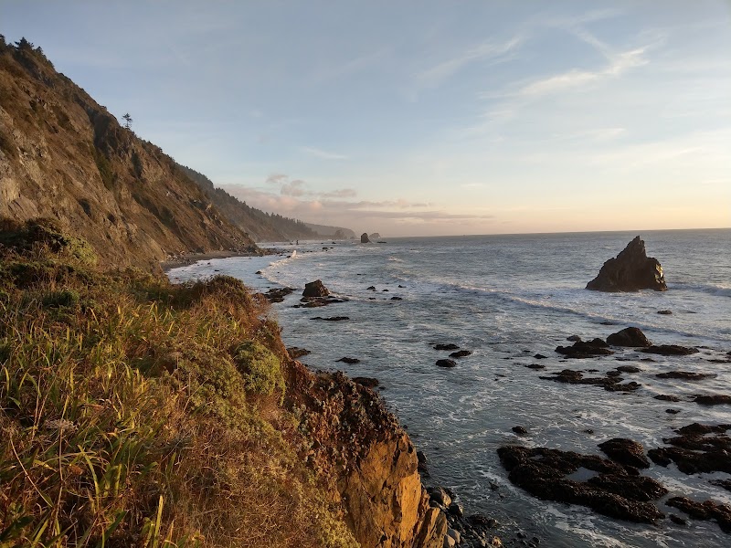 Majestic Forests: Del Norte Coast Redwoods State Park - Del Norte Coast Redwoods State Park