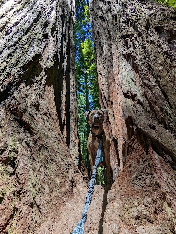 Wonders of Walker Road Trail surrounding landscape