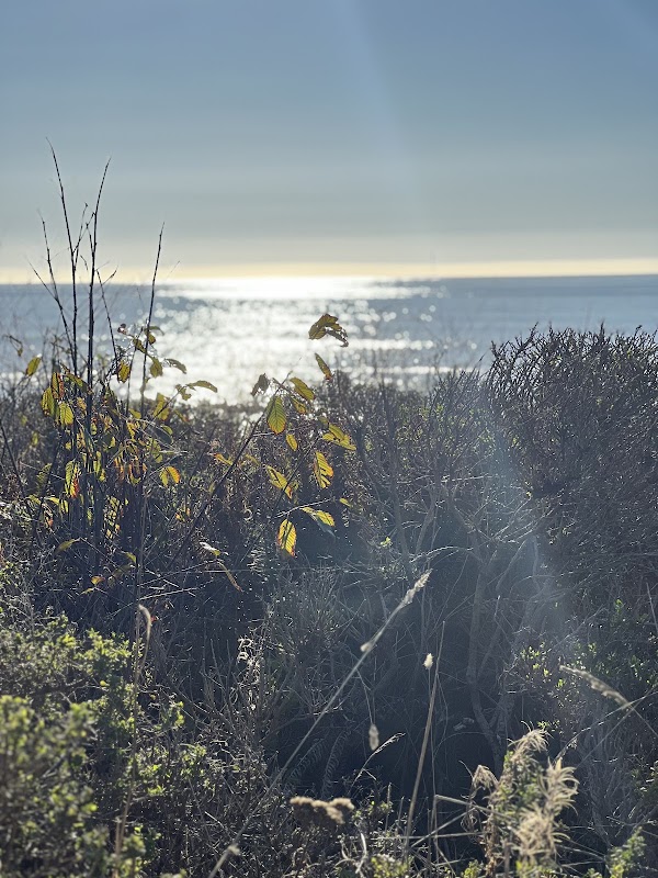 Coastal Beauty - Last Chance Trailhead surrounding landscape