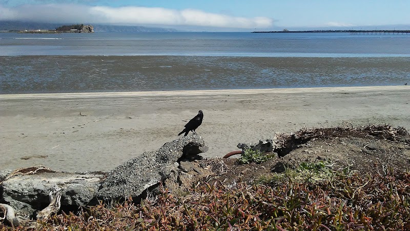 Scenic Shores at Beachfront Park surrounding landscape