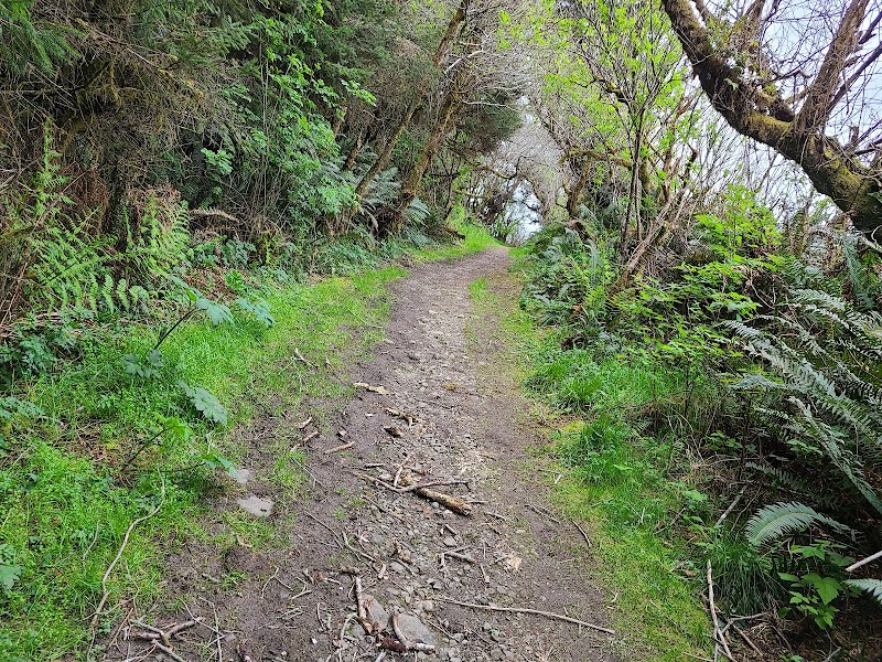 Yurok Loop Trail: A Scenic Coastal Escape outdoor detail