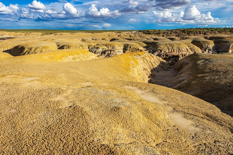 Mesmeric Land of Hoodoos: Ah-Shi-Sle-Pah Wilderness surrounding landscape