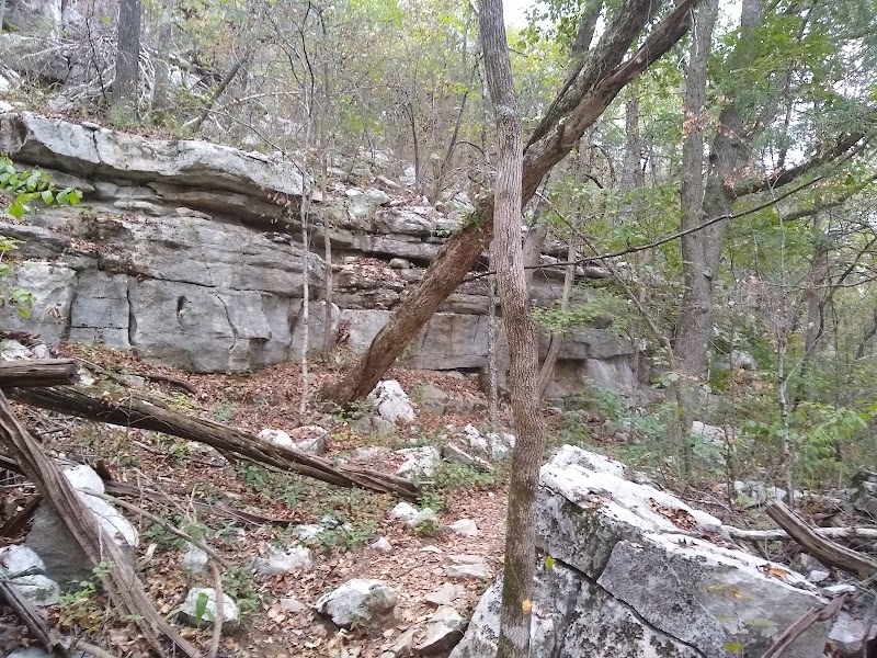 Discover Natural Beauty at Lost Sink Falls outdoor detail