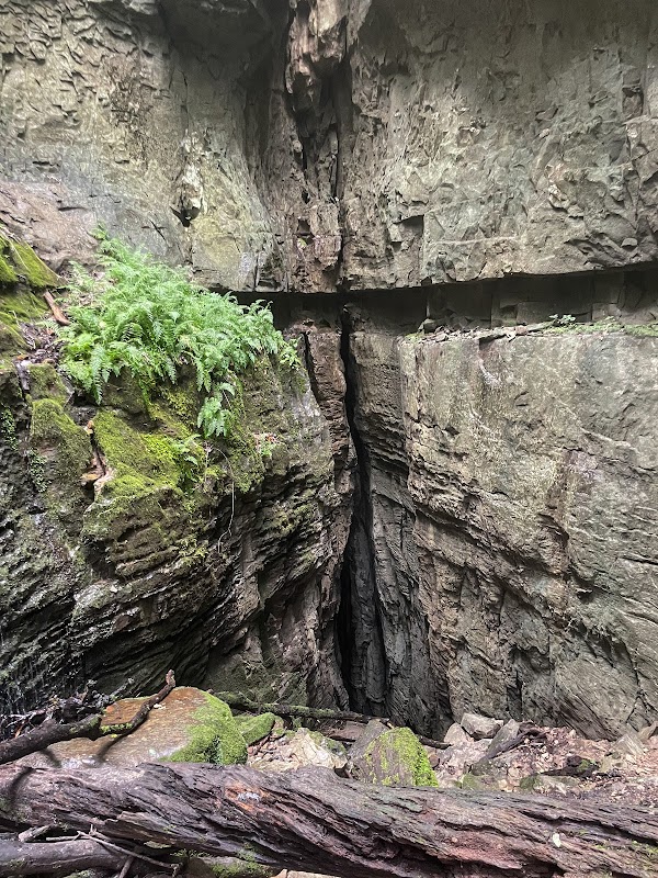 Discover Natural Beauty at Lost Sink Falls surrounding landscape