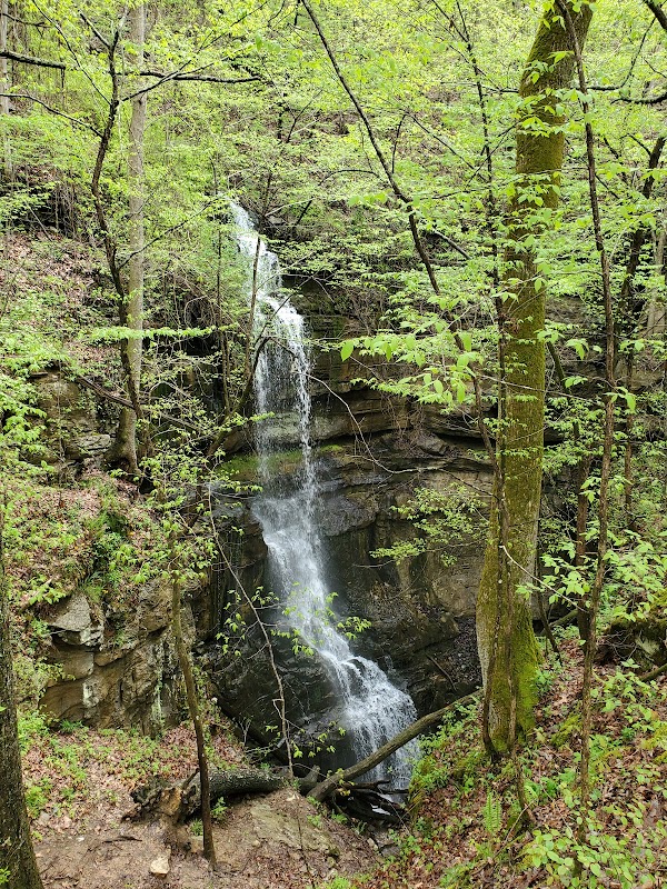 Discover Natural Beauty at Lost Sink Falls - Lost Sink Falls