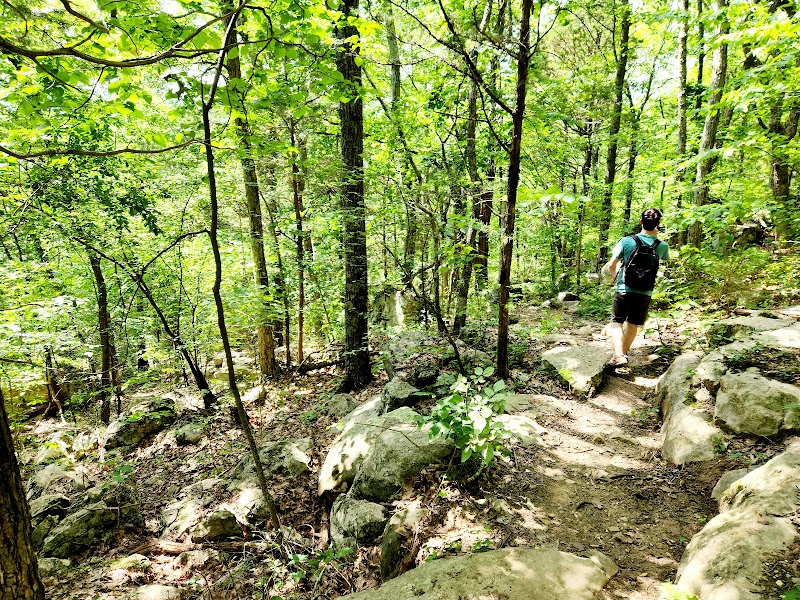 Discover Natural Beauty at Lost Sink Falls - Lost Sink Falls