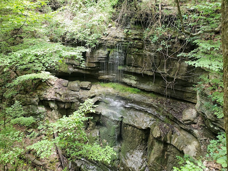 Discover Natural Beauty at Lost Sink Falls - Lost Sink Falls