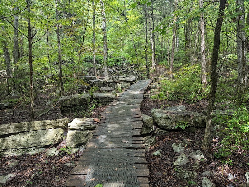 Natural Escape at Monte Sano Nature Preserve - Monte Sano Nature Preserve (Bankhead Trailhead)