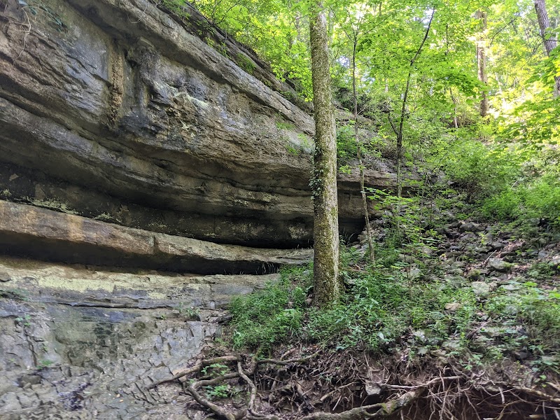 Natural Escape at Monte Sano Nature Preserve surrounding landscape
