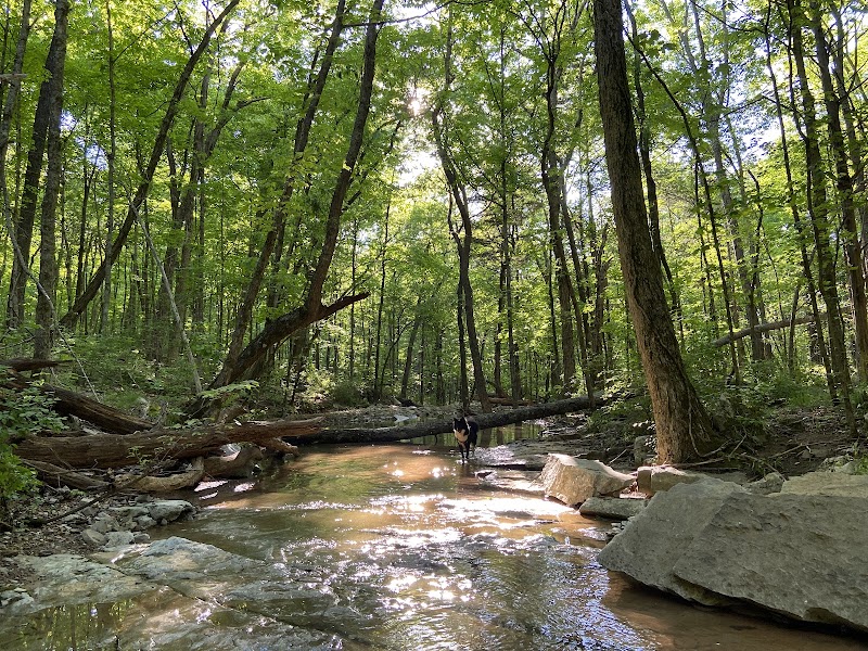 Natural Escape at Monte Sano Nature Preserve - Monte Sano Nature Preserve (Bankhead Trailhead)