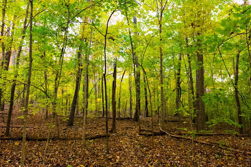 Natural Escape at Monte Sano Nature Preserve - Monte Sano Nature Preserve (Bankhead Trailhead)