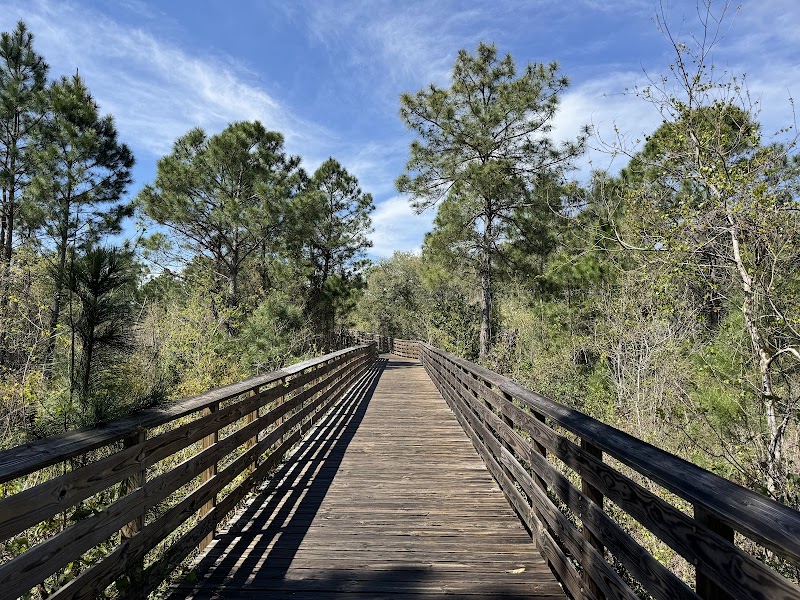 Nature's Pathway: Hugh S. Branyon Backcountry Trail - Hugh S. Branyon Backcountry Trail - Rosemary Dunes Trailhead