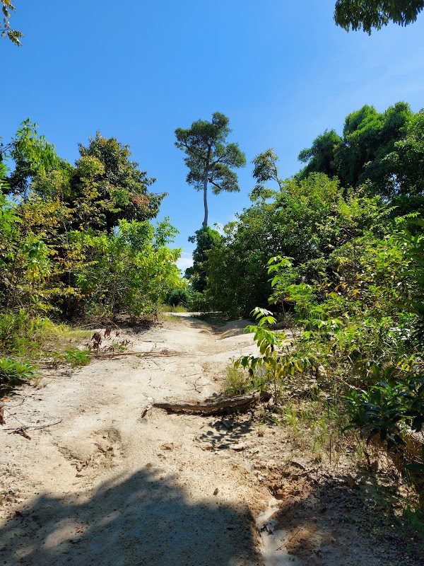 Secluded Serenity at Pantai Galah Beach - Pantai Galah Beach