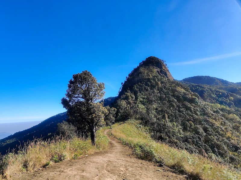 Majestic Peaks of Doi Pha Ngam - Doi Pha Ngam ผาแง่ม