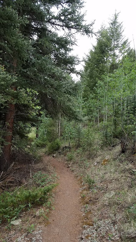 Deep Creek Trailhead: Gateway to Creede's Wilderness - Deep Creek trailhead