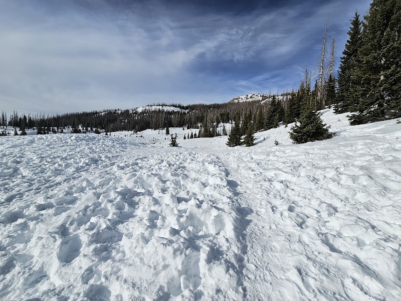 Scenic Wonders: Wolf Creek Pass Trailhead - Wolf Creek Pass Trailhead